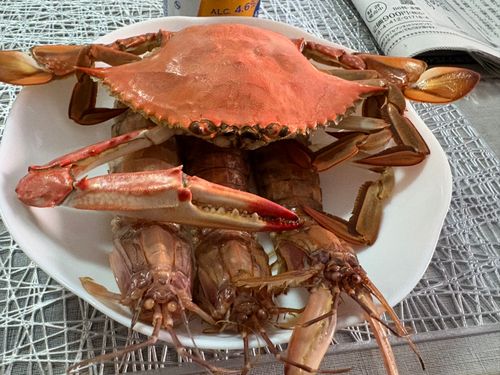 小樽港