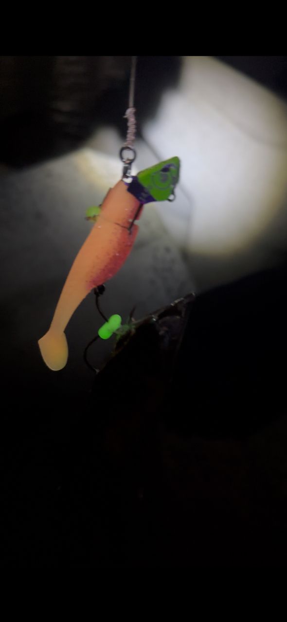 タチウオ
