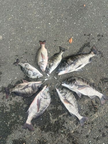 奥浜名湖