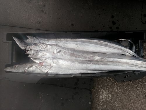 追波湾