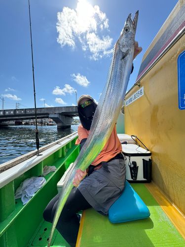 タチウオの釣果