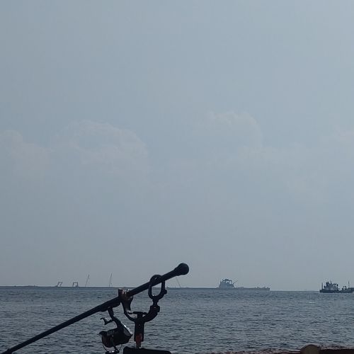 東京湾湾奥