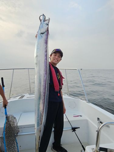 タチウオの釣果