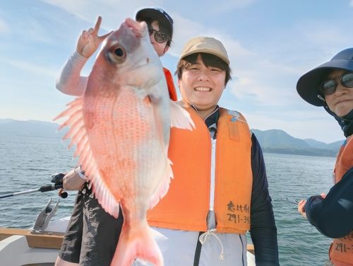 マダイの釣果