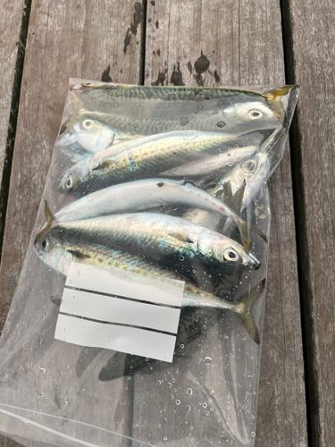 小名浜港アクアマリンふくしま周辺
