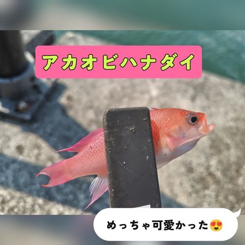 親水広場