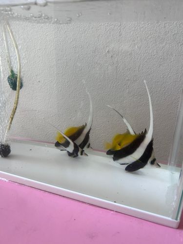 表浜名湖