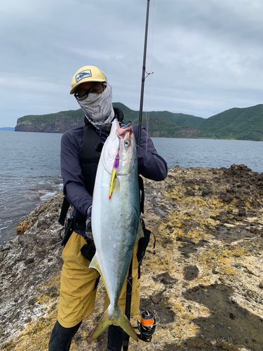 ハマチ