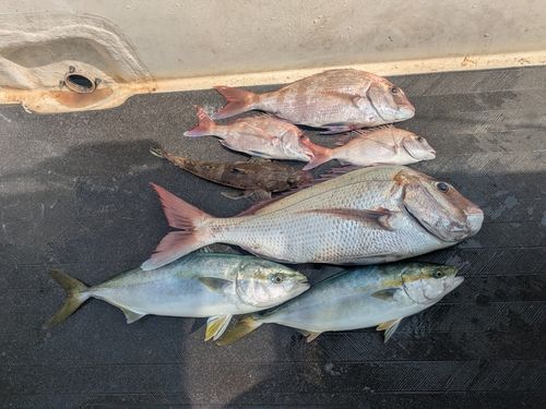 大阪湾