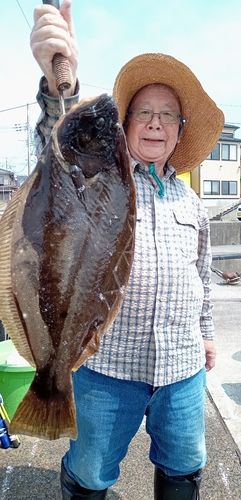 ヒラメの釣果