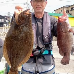 ヒラメ