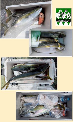紀の川河口