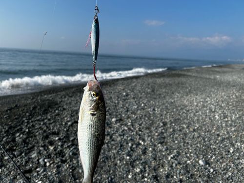 二宮海岸