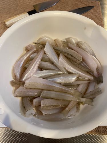 富山湾