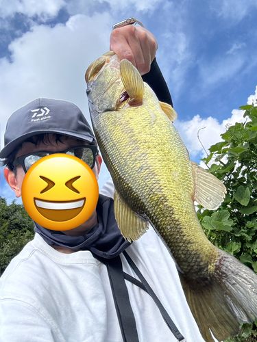 静岡県西部