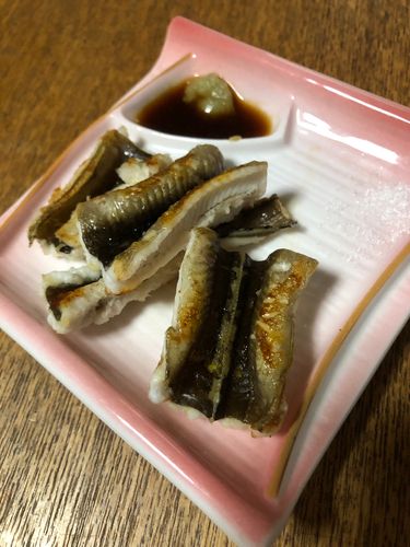 貝塚人工島