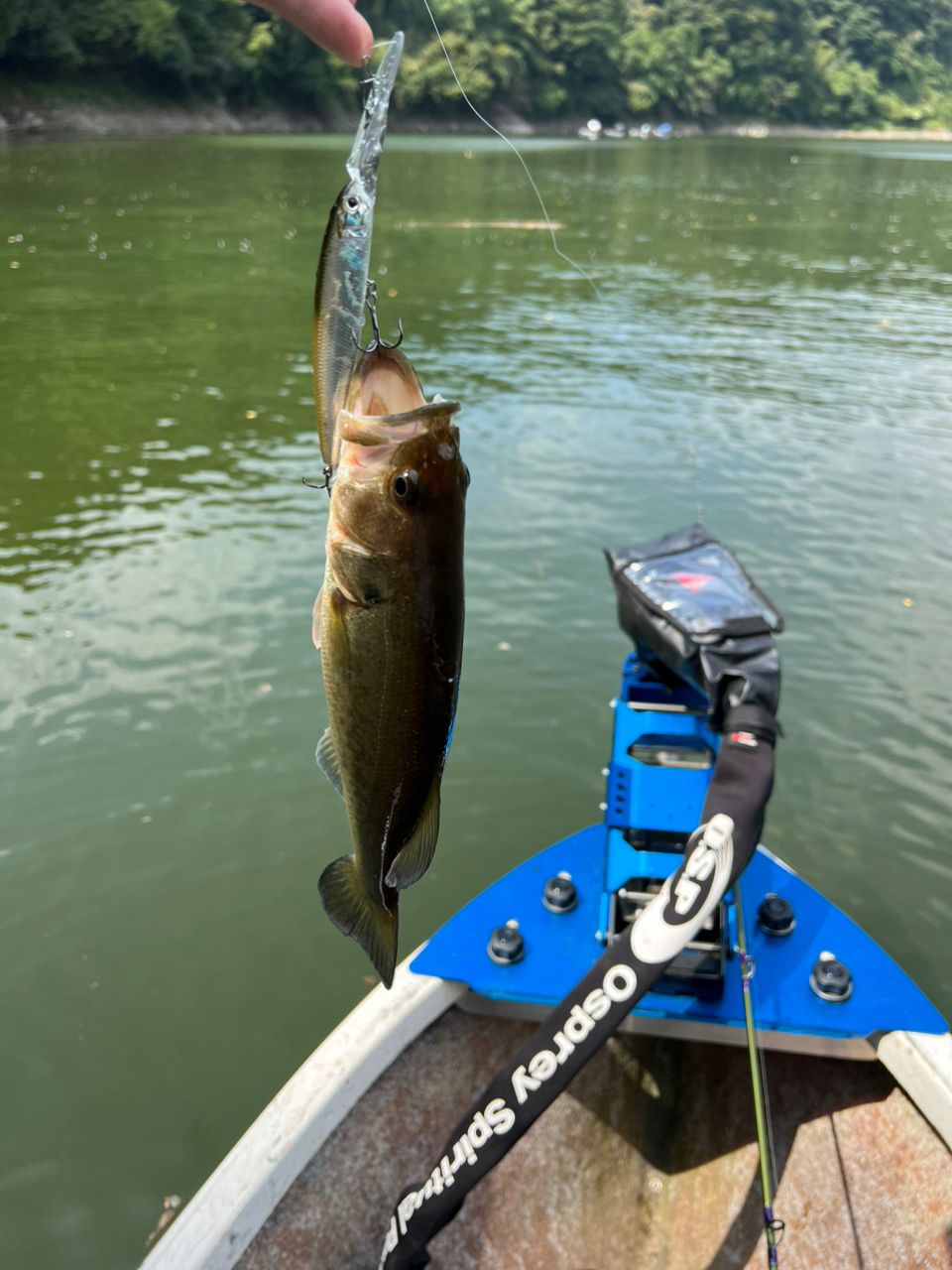 NORIES ロードランナー ヴォイス ハードベイトスペシャル ベイト