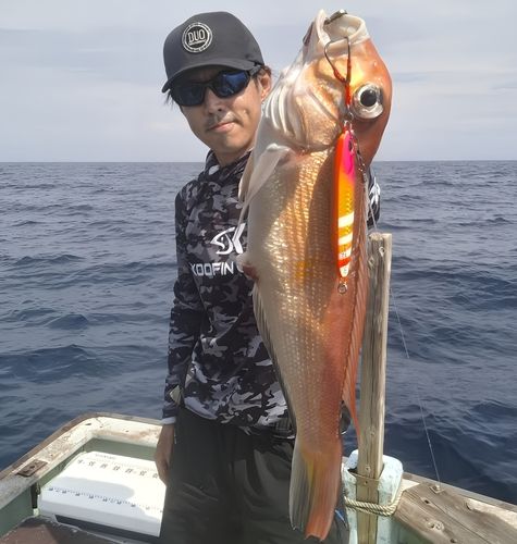 アマダイの釣果