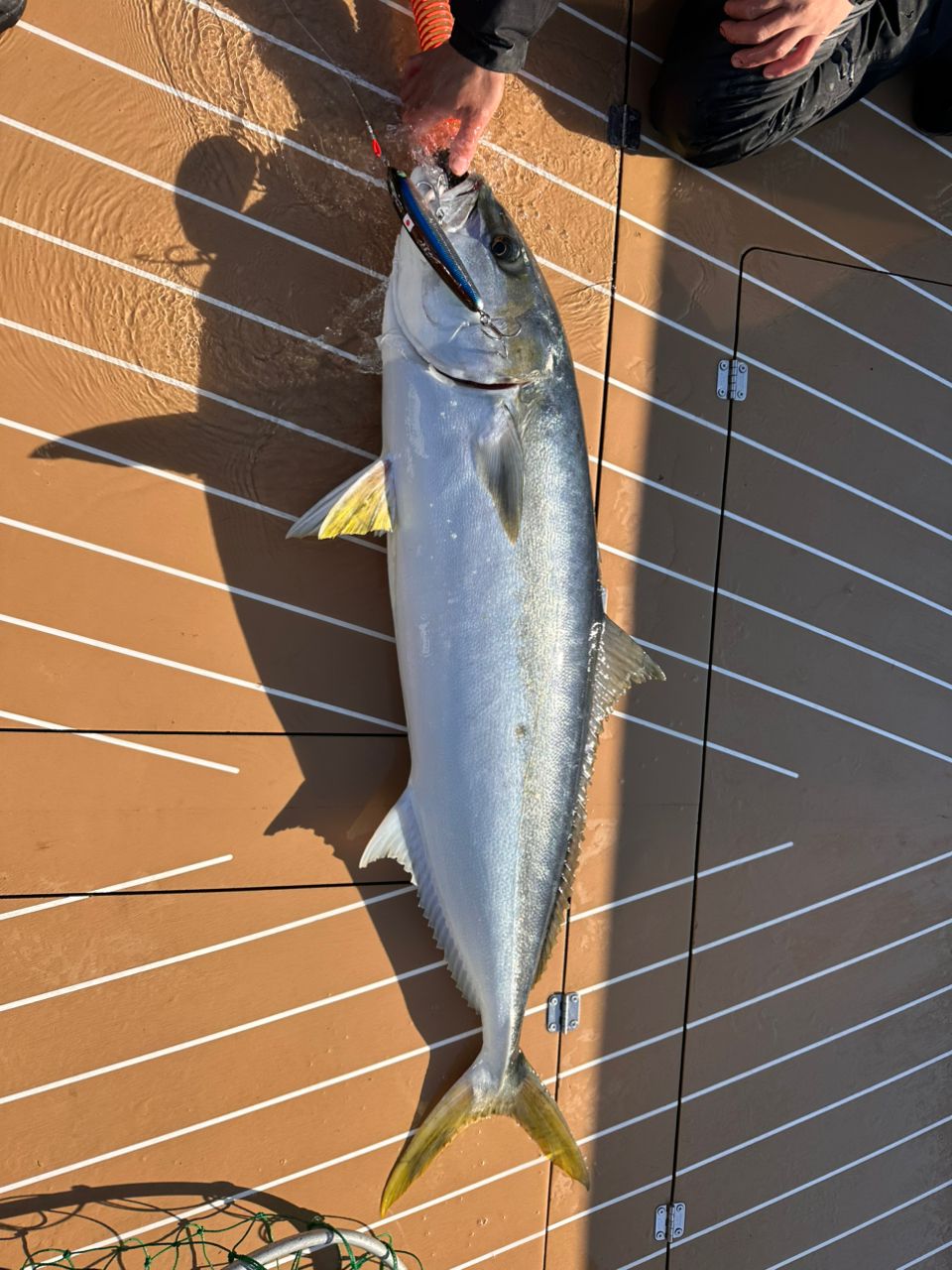 ぽん太ぽん吉さんの釣果 2枚目の画像