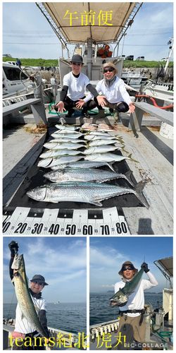 サワラの釣果