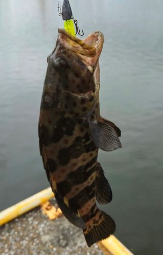 浦戸湾