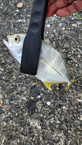 用宗広野海岸公園