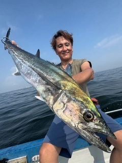 サワラの釣果