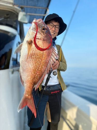 マダイの釣果