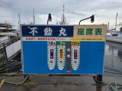 マルイカの釣果