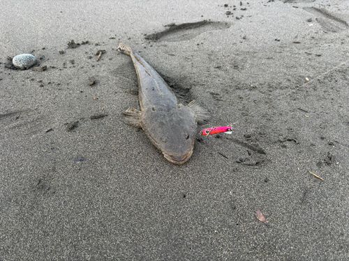 柳島海岸