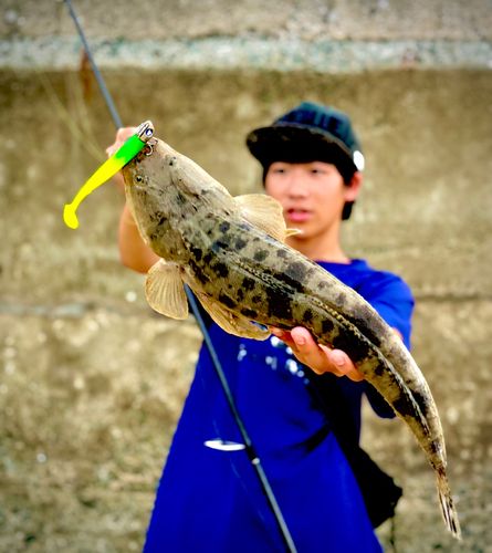 博多湾