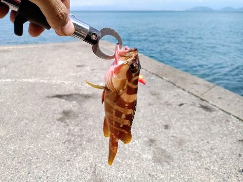西伊豆