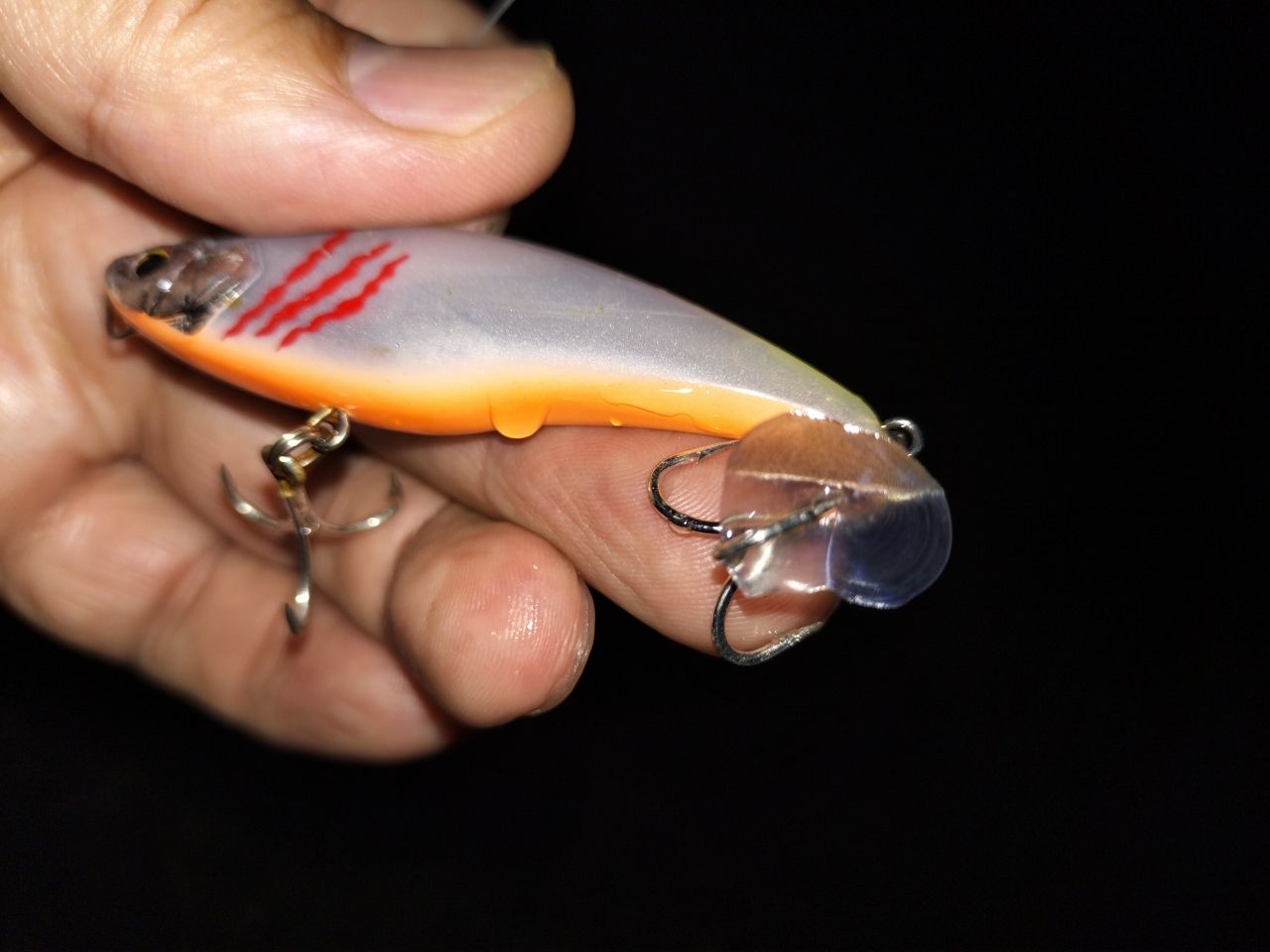 マゴチ
