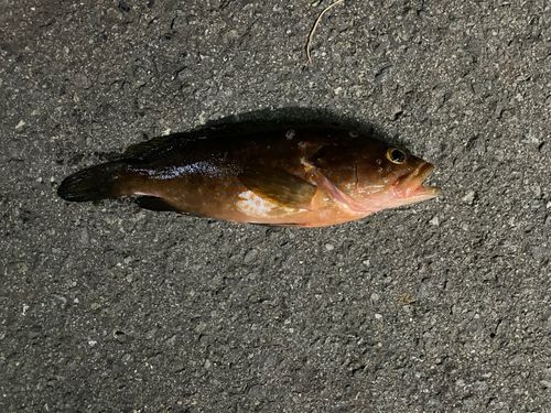 長崎湾