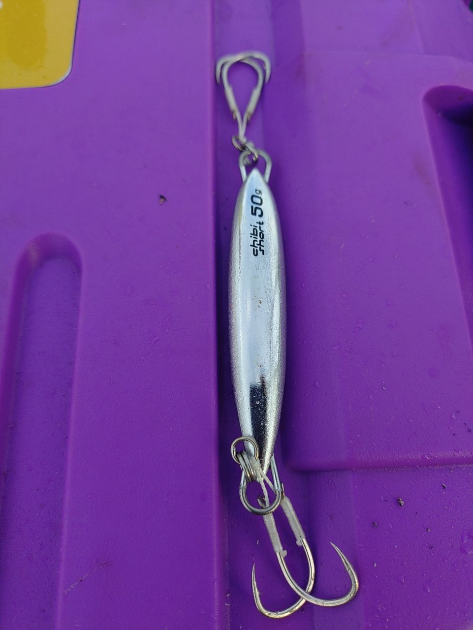 ヒサマルさんの釣果 2枚目の画像