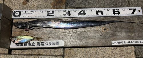 海辺つり公園