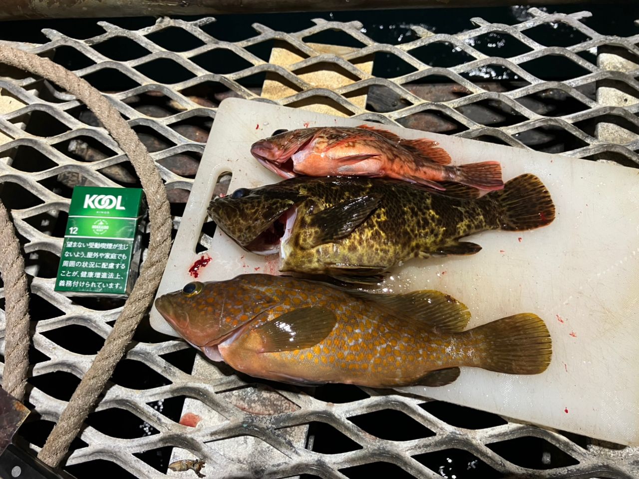 タケノコメバル