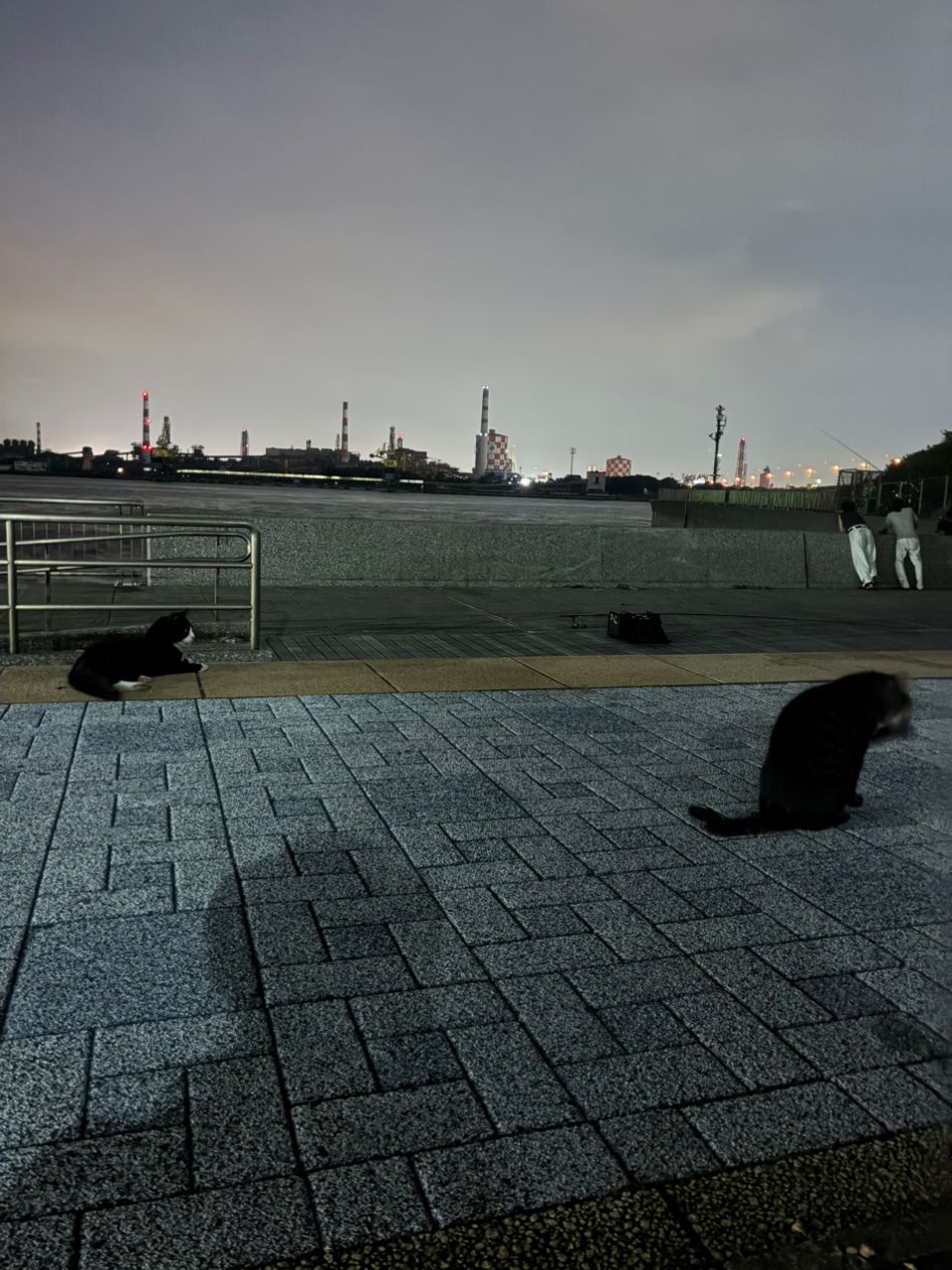 ばにょら　フライングミンチさんの釣果 2枚目の画像