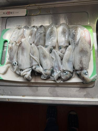 若狭湾