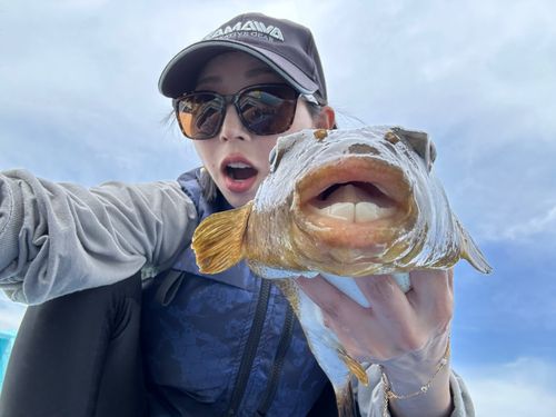 知多湾