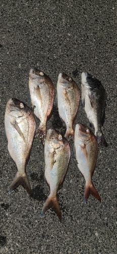しまなみ海道