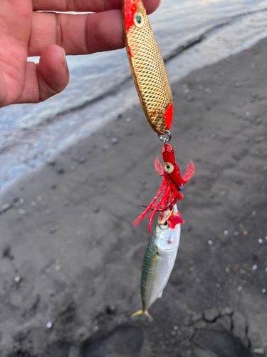 噴火湾