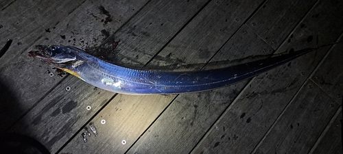 小名浜港アクアマリンふくしま周辺