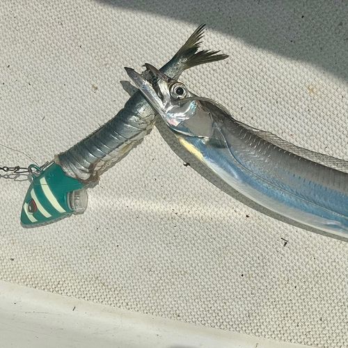 走水沖