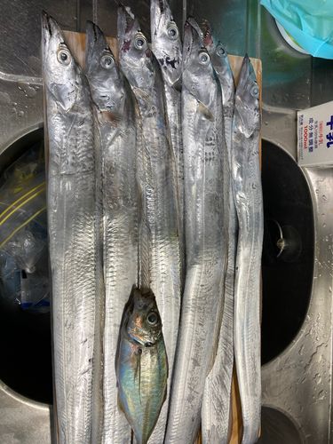 炬口漁港