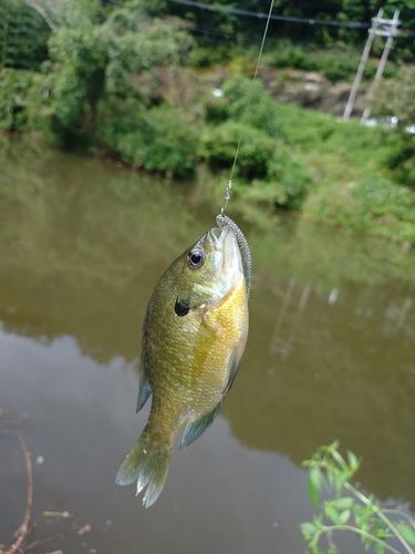 千丈寺湖