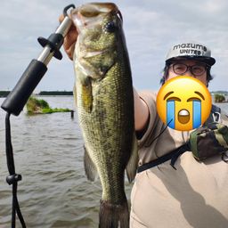 ラージマウスバス