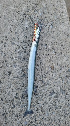 福江島