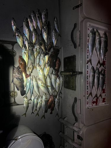 中之作港