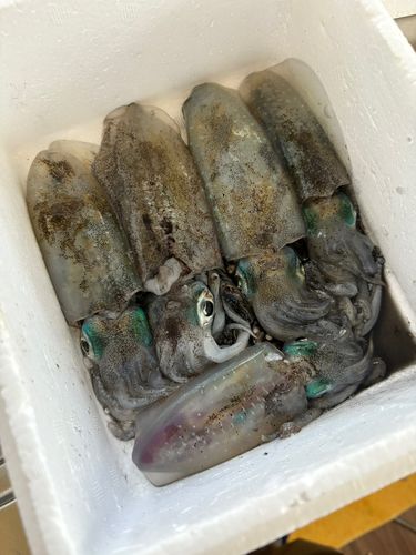 しまなみ海道